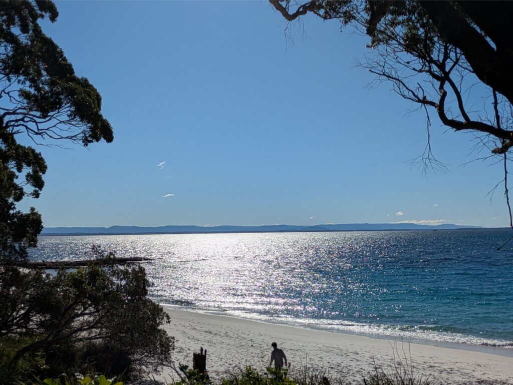 Sparkling bay framed by gum trees